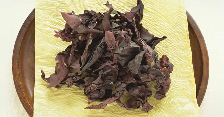 Scientists Have Discovered a Seaweed that Tastes Like Bacon But Much Healthier! Elite Readers