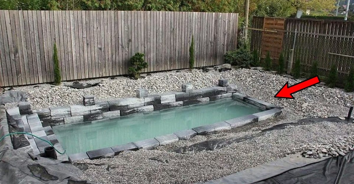 Family Turns Barren Backyard to a Phenomenal DIY Natural Pool! Elite