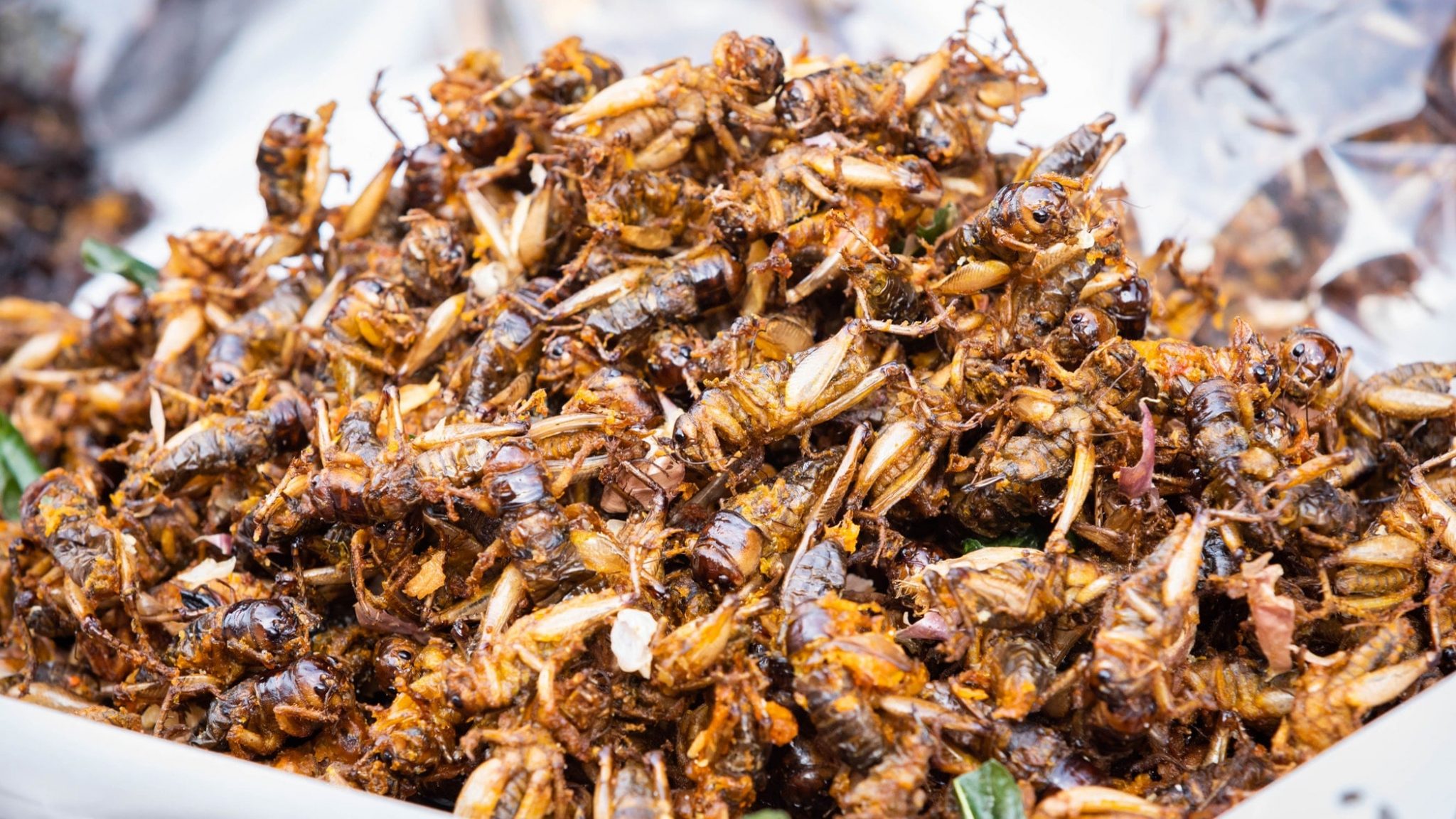 Eating Crickets Can Keep Your Gut Healthy, Study Finds Elite Readers
