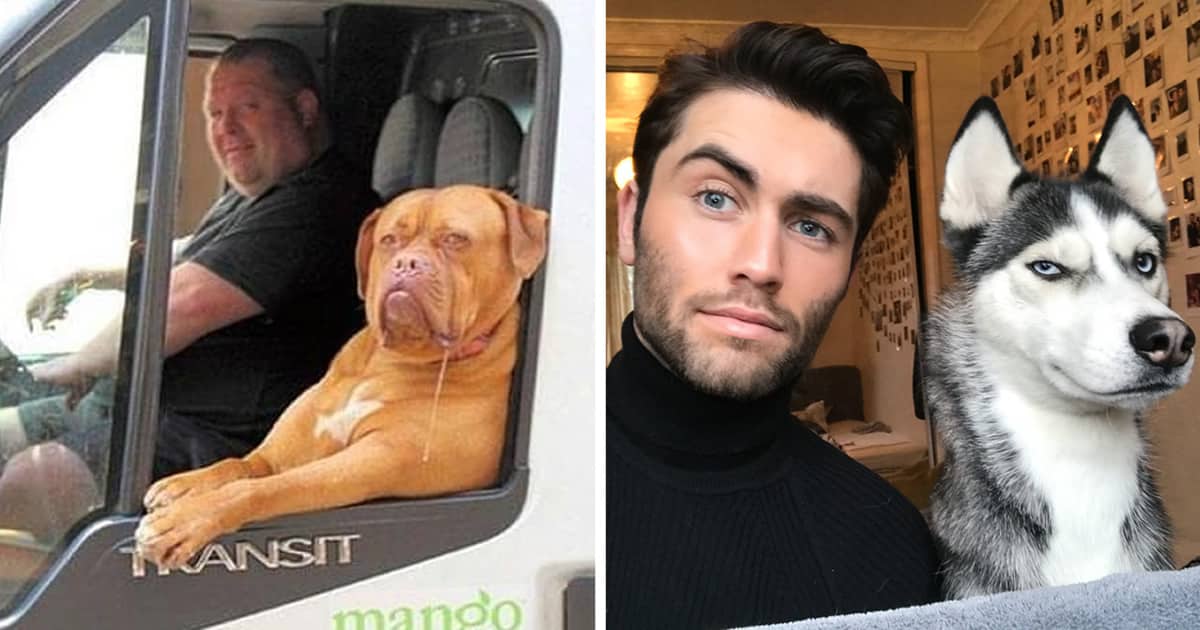 18 Animals Who Can Imitate Their Humans So Well Elite Readers
