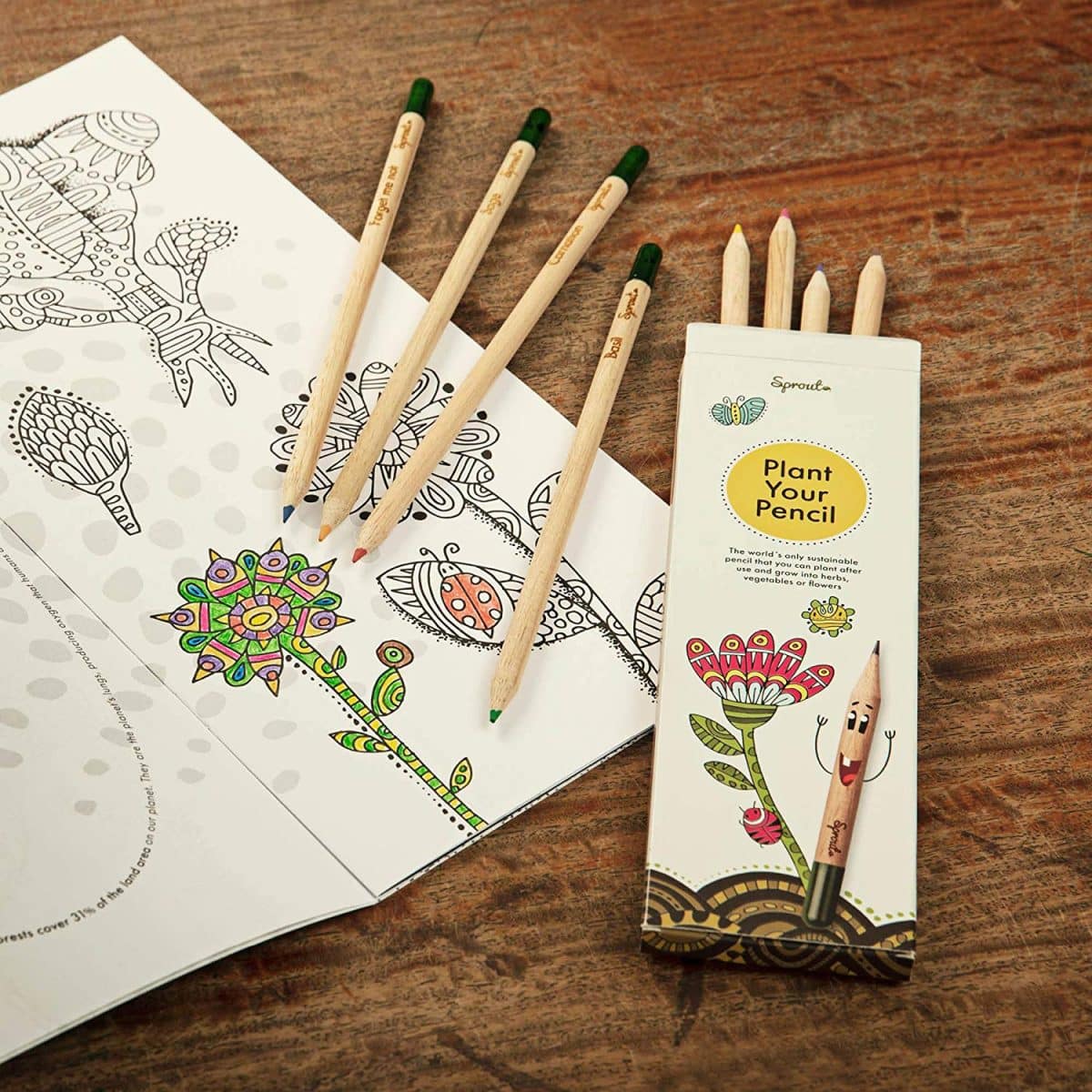These EcoFriendly Pencils Actually Grow Into Plants When Placed In