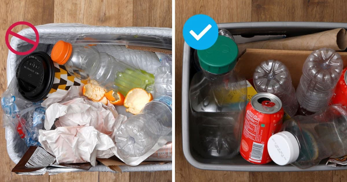 What Happens When You Don’t Recycle Properly Elite Readers