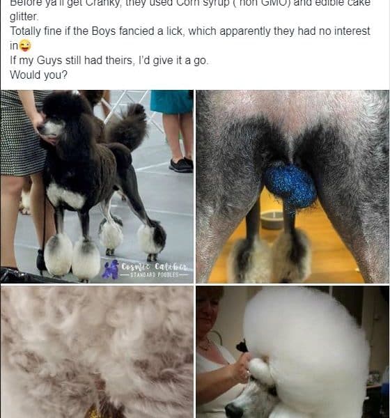 are people really putting glitter on dog balls