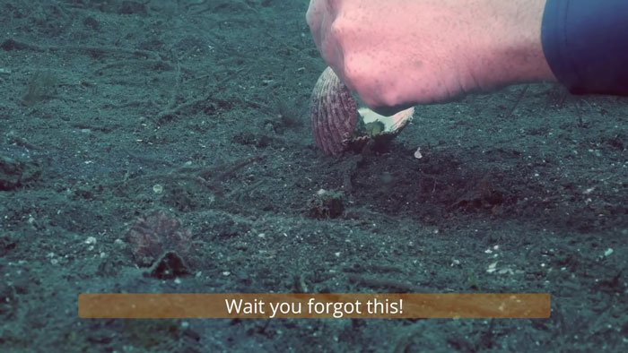 diver-trades-shell-with-octopus